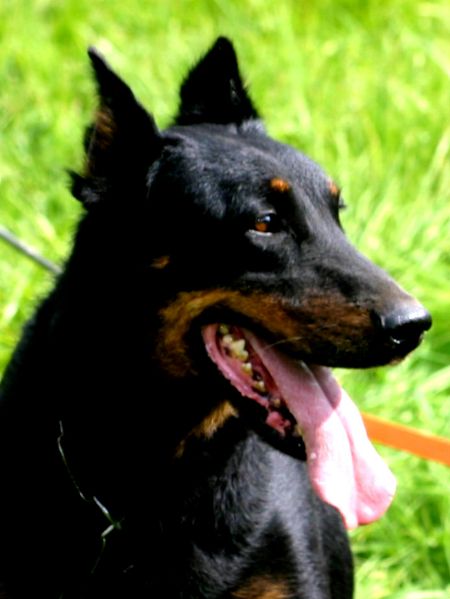 Storm De la vallée de montmorency
